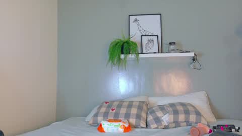 Dulce Sexy  online show from 05-20-26, 07:31