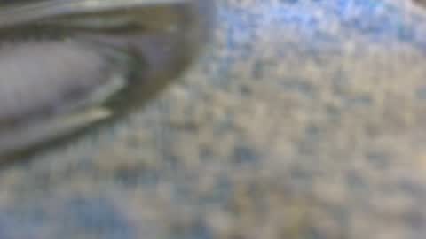 dunany101 online show from 11-02-25, 11:51