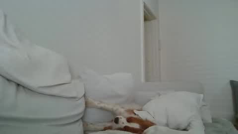 Snapshot of dustyroy09 chatting on 02-14-25, 01:45 dustyroy09 online show from 02-14-25, 01:45