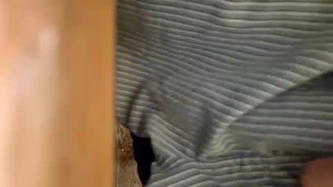 dVe1oPe online show from 01-06-25, 09:30