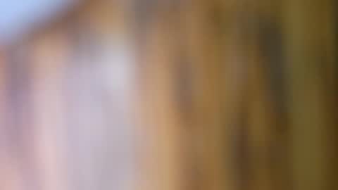 dVe1oPe online show from 09-10-25, 09:42