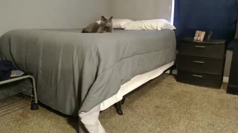 Snapshot of dwhitey4u chatting on 12-31-24, 08:02 dwhitey4u online show from 12-31-24, 08:02