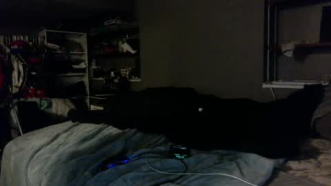 Snapshot of dynasty801 chatting on 10-23-25, 08:46 nastyboi801 online show from 10-23-25, 08:46