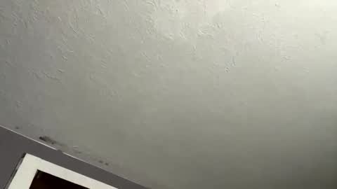 Snapshot of dynasty801 chatting on 11-27-25, 08:05 nastyboi801 online show from 11-27-25, 08:05