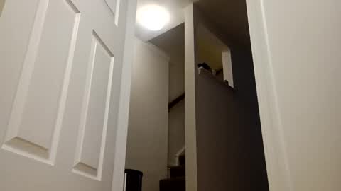 easternjerk online show from 12-16-25, 11:04