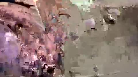 Easye online show from 01-26-25, 07:41