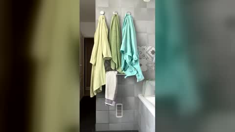 French Guy online show from 04-15-26, 10:44