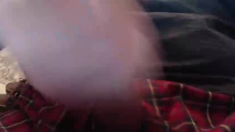 Snapshot of eat_a_peach2 chatting on 03-04-26, 11:38 eat_a_peach2 online show from 03-04-26, 11:38