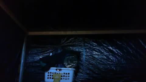 ebear1 online show from 02-27-25, 09:36