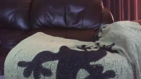 Ectopicstarfish online show from 12-13-24, 08:41