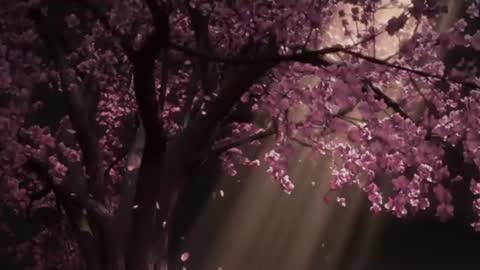 EdenArcadia online show from 06-25-26, 05:12