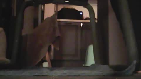 edgemaster83 online show from 01-11-26, 02:49