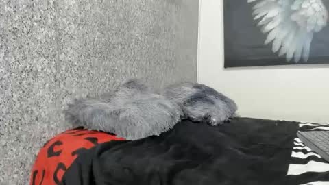 edi_stwix18 online show from 01-13-26, 03:39