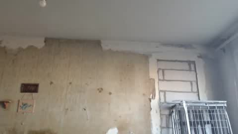 Snapshot of edifox chatting on 02-12-25, 01:16 Alexander online show from 02-12-25, 01:16