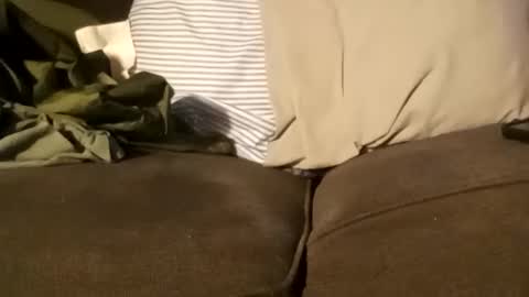 edmore1215 online show from 12-11-24, 03:37