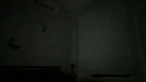 Snapshot of eerriicc2022 chatting on 12-16-24, 10:08 eerriicc2022 online show from 12-16-24, 10:08