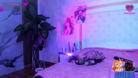 Snapshot of effy_kesster chatting on 07-17-26, 12:01 effy_kesster online show from 07-17-26, 12:01