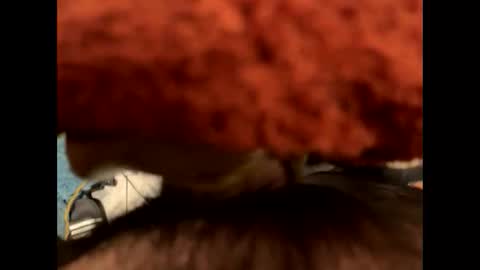 ehdgher online show from 11-06-25, 09:21