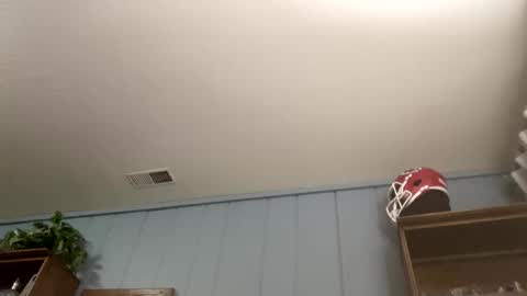 PiedPiper online show from 04-05-26, 11:18