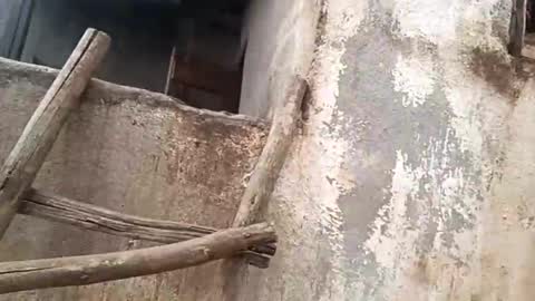 Snapshot of eldie69 chatting on 11-29-25, 10:51 eldie69 online show from 11-29-25, 10:51