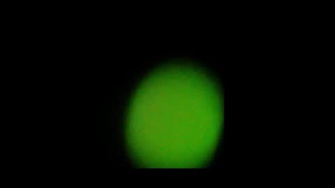 Snapshot of eldonan chatting on 10-24-25, 02:02 Nando online show from 10-24-25, 02:02