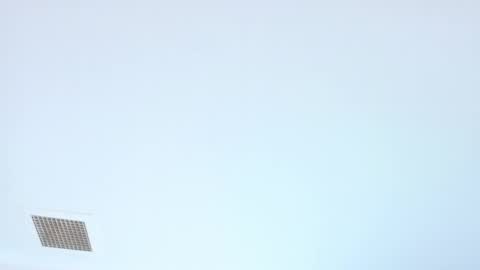 Snapshot of elektradoll1 chatting on 06-05-26, 12:44 elektradoll1 online show from 06-05-26, 12:44