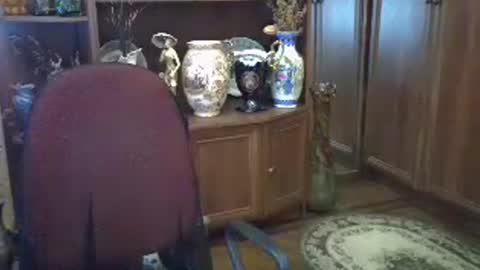 ElenaZed online show from 07-12-26, 08:16