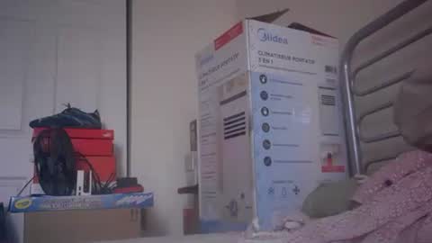 Snapshot of eliexavier123456789 chatting on 12-23-24, 08:36 eliexavier123456789 online show from 12-23-24, 08:36