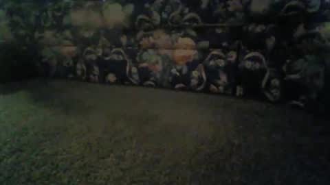 Snapshot of elitehoncho chatting on 11-13-25, 08:46 jeff online show from 11-13-25, 08:46