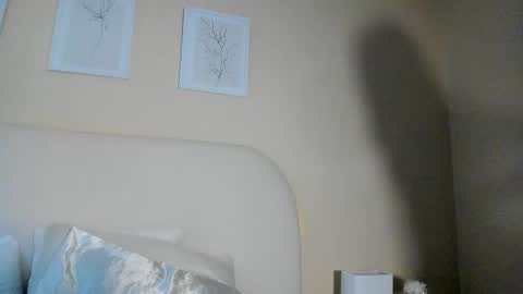 Snapshot of eliza_sanz chatting on 12-02-25, 10:38 My name is ElizaPVT is open online show from 12-02-25, 10:38