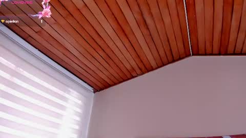 Ella Olmos  online show from 07-10-26, 03:03