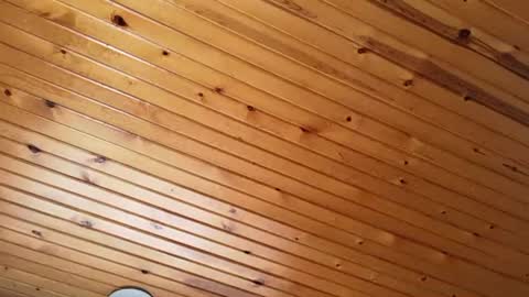 ellalowe online show from 03-22-26, 02:53