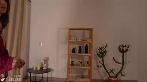 Snapshot of ellelure_ chatting on 03-05-25, 11:49 Linda Restrepo online show from 03-05-25, 11:49
