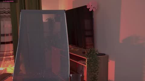 elliecutes online show from 05-24-26, 08:30