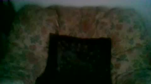 Snapshot of elmo191271 chatting on 01-07-26, 08:06 elmo191271 online show from 01-07-26, 08:06