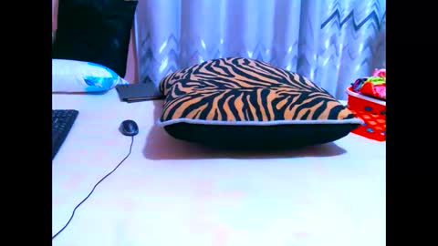elodielynn online show from 05-19-26, 04:41