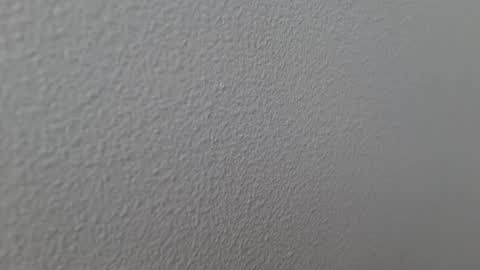 elosocazador online show from 12-13-24, 07:43