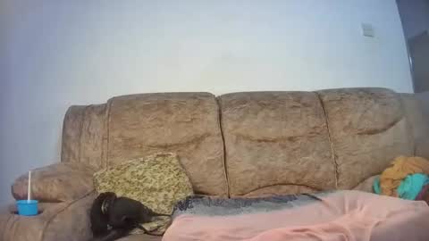 Snapshot of elsie02 chatting on 11-18-25, 06:56 elsie02 online show from 11-18-25, 06:56