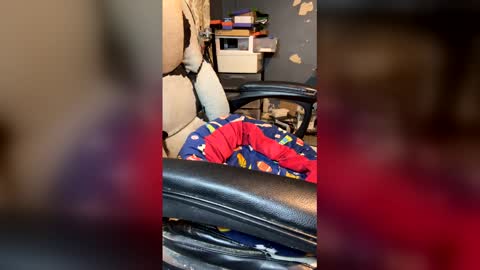 elvergg1 online show from 04-04-26, 01:37