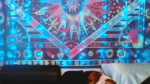 Snapshot of ember_starleena chatting on 02-24-25, 05:31 Ember Starleena online show from 02-24-25, 05:31