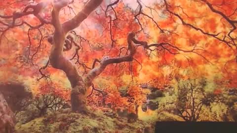 Snapshot of ember_starleena chatting on 09-29-25, 01:16 Ember Starleena online show from 09-29-25, 01:16