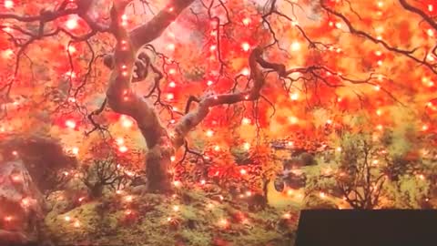 Snapshot of ember_starleena chatting on 09-30-25, 01:49 Ember Starleena online show from 09-30-25, 01:49