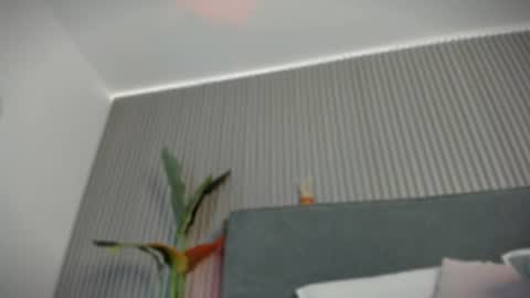 emelie_89 online show from 07-02-26, 11:38