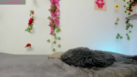 Emily  online show from 02-06-25, 06:35
