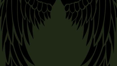 Emily  online show from 11-21-25, 07:56