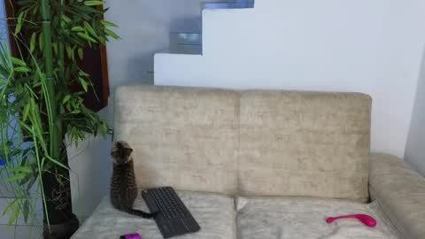 Snapshot of emma_blue_ chatting on 10-20-25, 03:29 Emma Blue modelo independiente online show from 10-20-25, 03:29