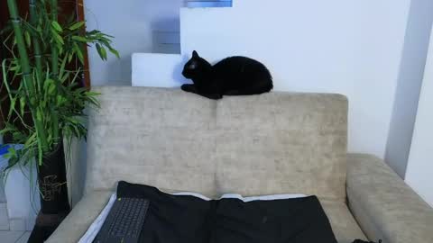 Emma Blue  modelo independiente online show from 04-22-26, 03:53