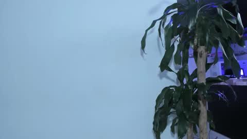 Emma online show from 02-22-25, 02:30