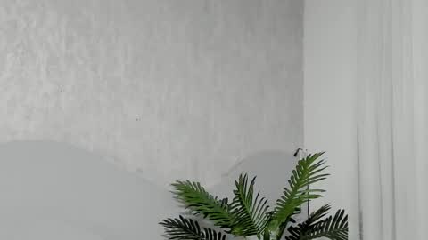 Snapshot of emma_morgann chatting on 02-25-26, 11:20 Emma Morgann online show from 02-25-26, 11:20