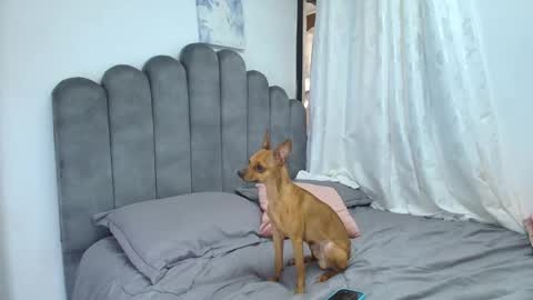 Snapshot of emma_saenz01 chatting on 02-12-26, 08:37 emma_saenz01 online show from 02-12-26, 08:37